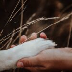 Fotobox & Fotografie Erfurt - Daniela Tapliuc - Fotografie vom Hund - Hundefotoshooting - Familienfotoshooting mit Hund