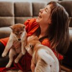 Fotobox & Fotografie Erfurt - Daniela Tapliuc - Fotografie vom Hund - Hundefotoshooting - Familienfotoshooting mit Hund
