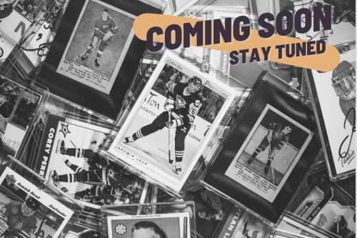 Fotobox & Fotografie Erfurt - Daniela Tapliuc - Coming Soon ... erstelle deine eigenen Spielerkarten mit der Fotobox